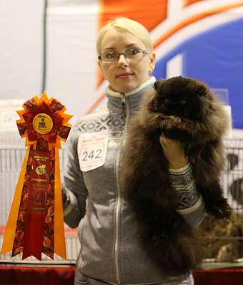 �������� ����� 20-21 �������� 2014 WCF-�����  3-242-169A2063 copy.jpg